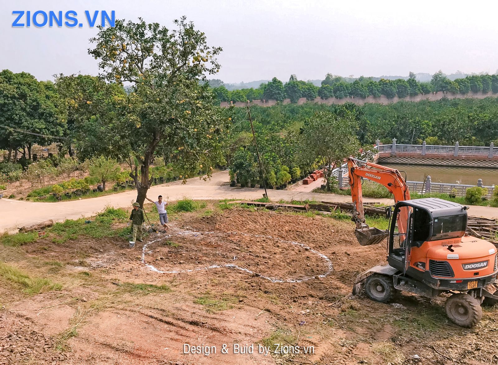 Đào móng hồ cá koi
